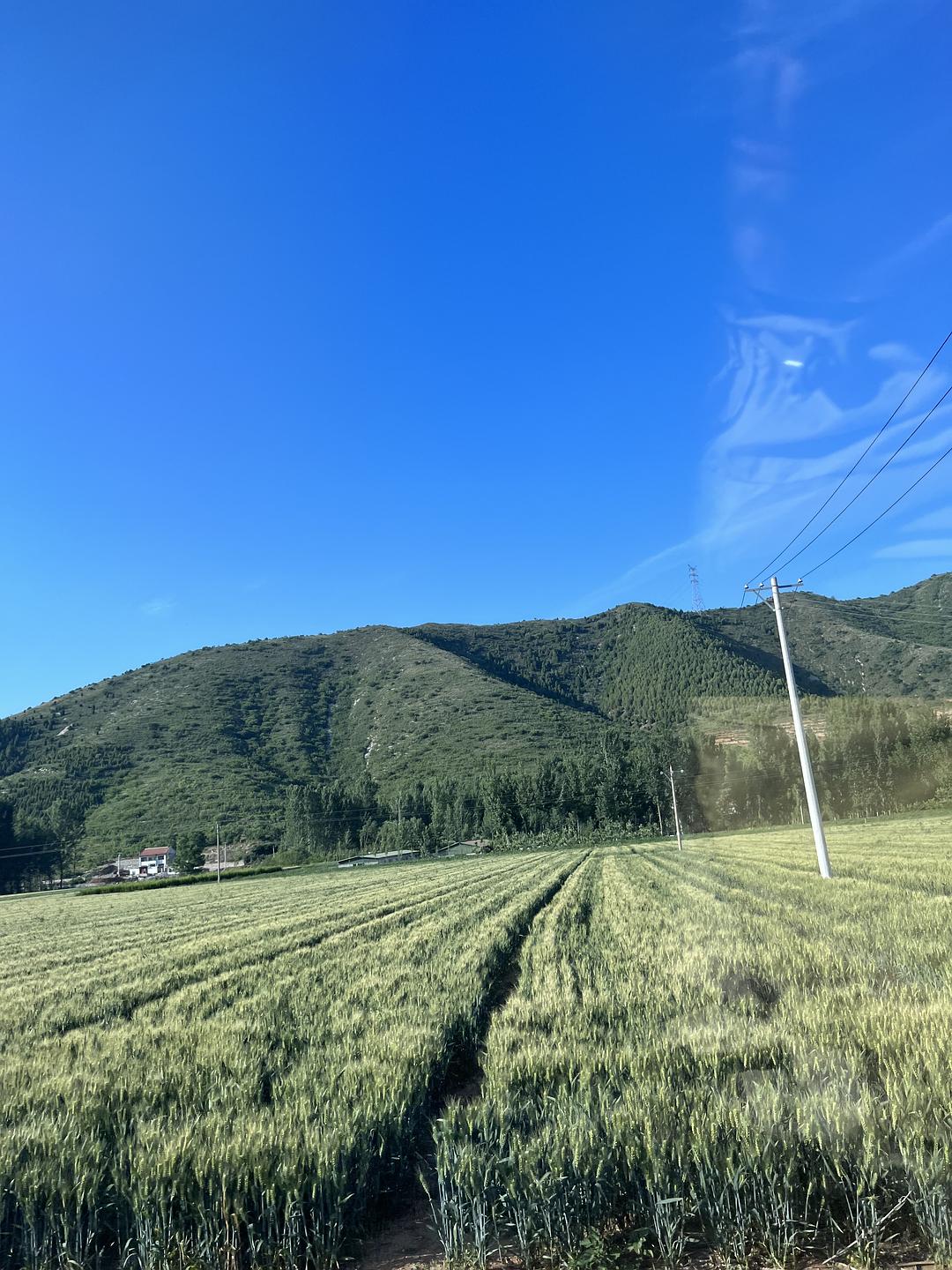 Douban