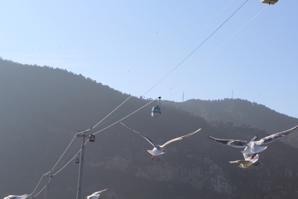 LightDiveinKunming Album