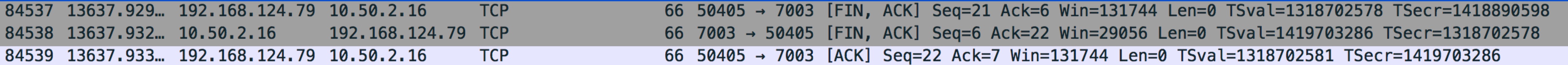 wireshark-view-3